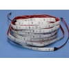 2835 120leds led flex strip Waterproof IP65/IP68