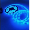 3528 Blue LED strip Light IP68