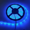 3528 Blue LED strip Light IP68