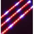 Plants Grow LED rigid strip light