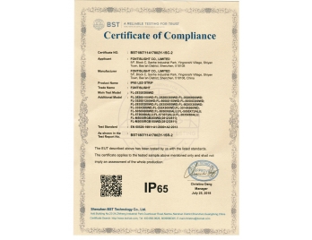 IP65 certificate for LED strips