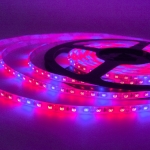 2835 grow light strip