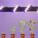 2835 grow light strip