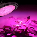 UFO grow light