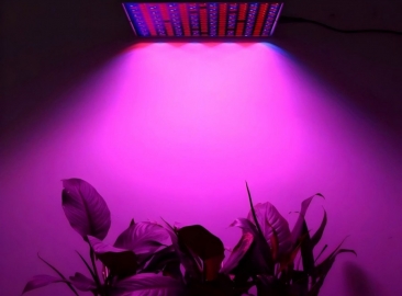 Full Spectrum Planted Grow Lamp