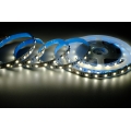 5050  Single Color LED Strip