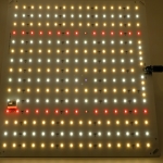 Full-spectrum plant lamp panel
