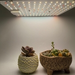 Full-spectrum plant lamp panel