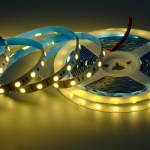 5050  Single Color LED Strip