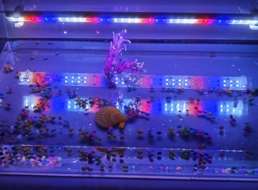 Full Spectrum LED Aquarium Lamp