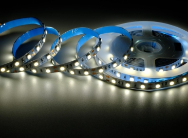 5050  Single Color LED Strip